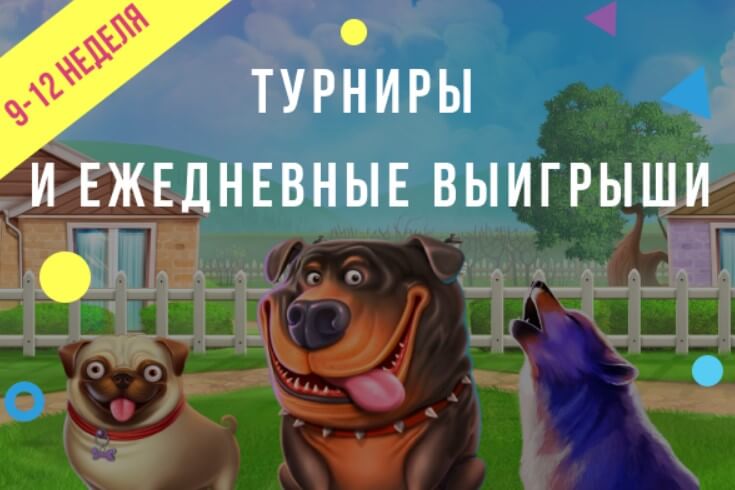 Турниры и ежедневные выигрыши Booi casino